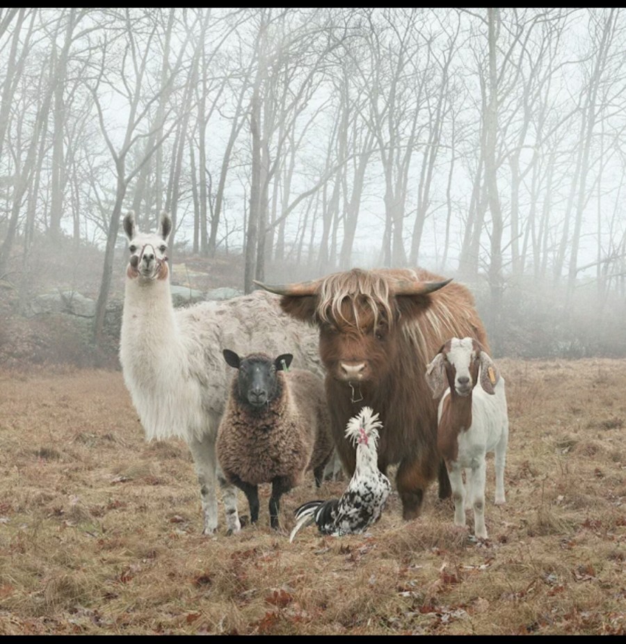 2016-02-25 22.56.05 (2)